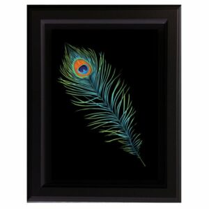 Peacock Feather Art