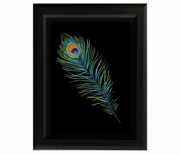 Peacock Feather Art