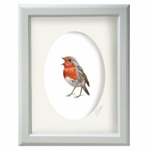Robin redbreast bird print