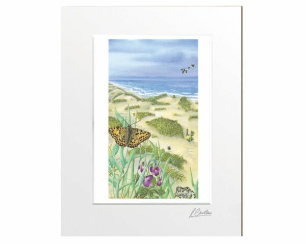 Seaside Prints